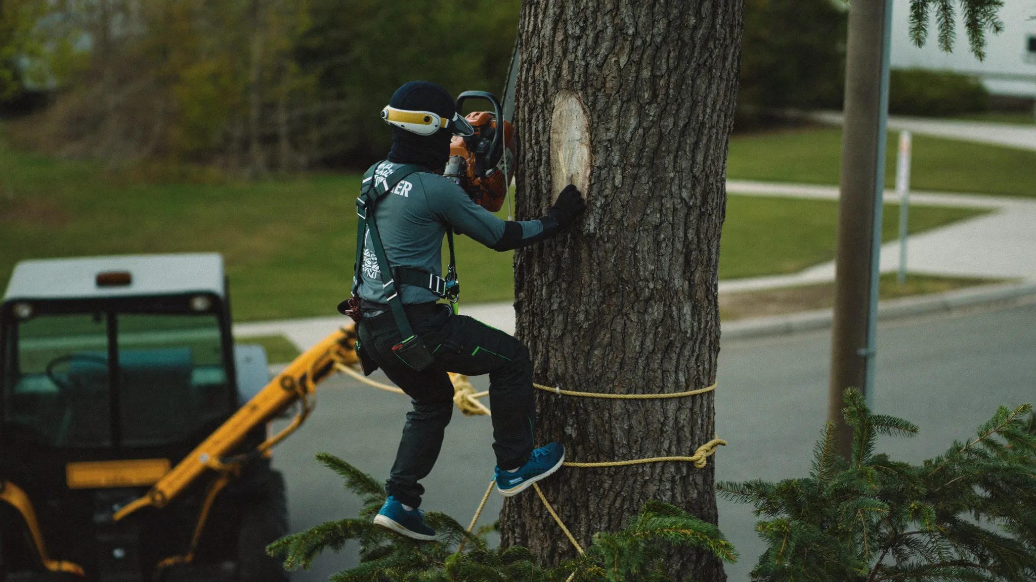 Tree service crew removing a large limb near a client's roof